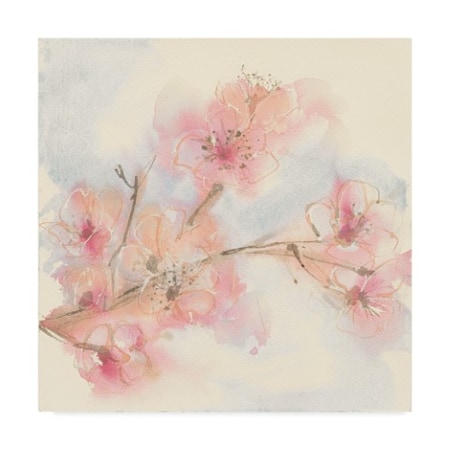 Chris Paschke 'Pink Blossoms Ii' Canvas Art,35x35